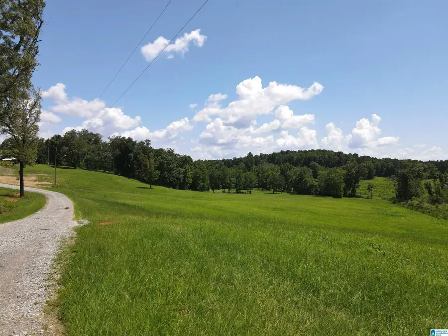 543 LAKE WANCOOLEE LANE, Pell City, AL 35125 - #3
