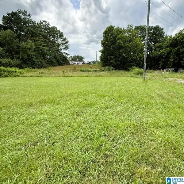 202 JOHNSON LANDING RD, Valhermoso springs, AL 35775