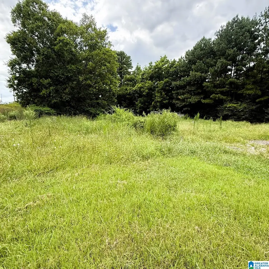 202 JOHNSON LANDING RD, Valhermoso Springs, AL 35775 - #3