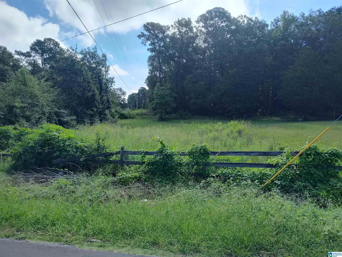 65 SPRING VALLEY ROAD, Sylacauga, AL 35150 - #1