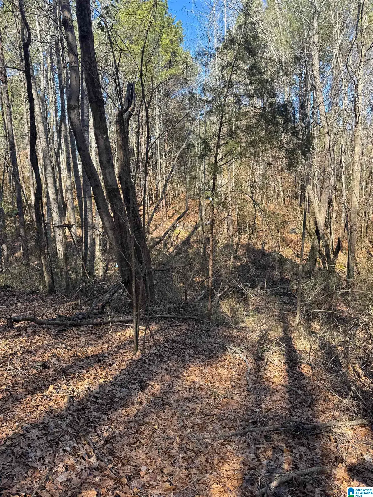 20143 BOOLER ROAD, Vance, AL 35490 - #1