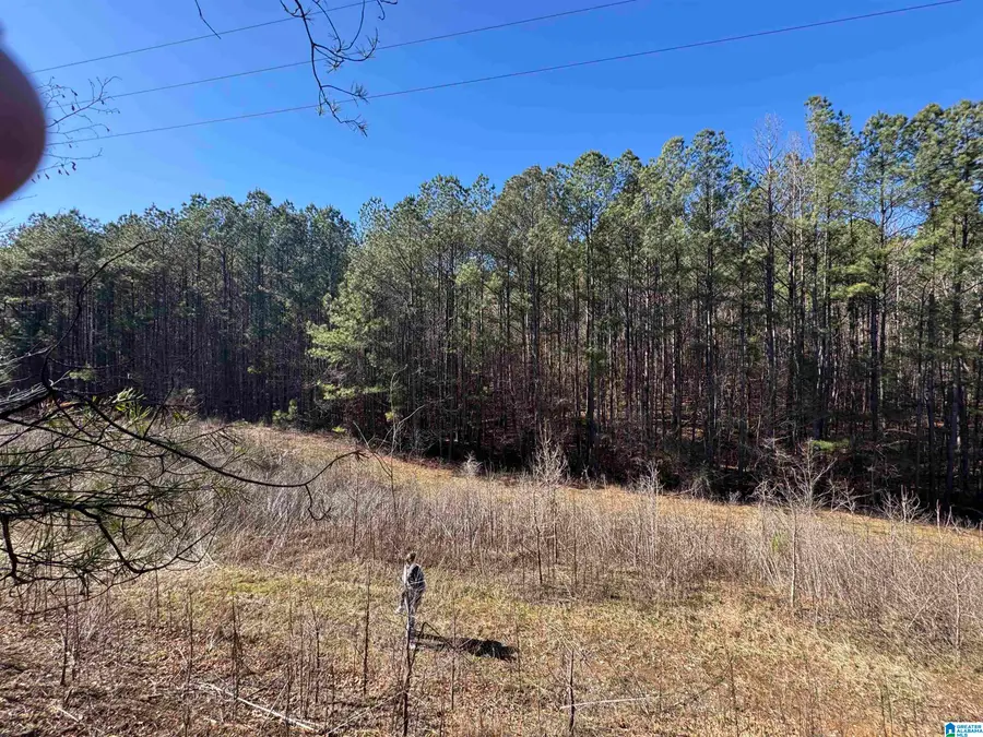 20143 BOOLER ROAD, Vance, AL 35490 - #2