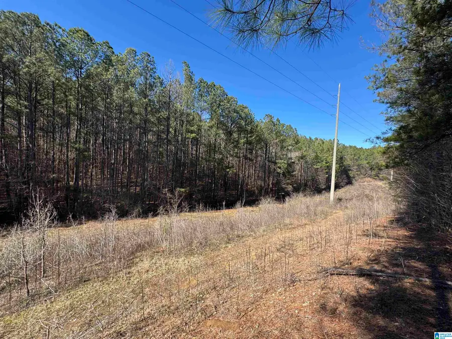 20143 BOOLER ROAD, Vance, AL 35490 - #3