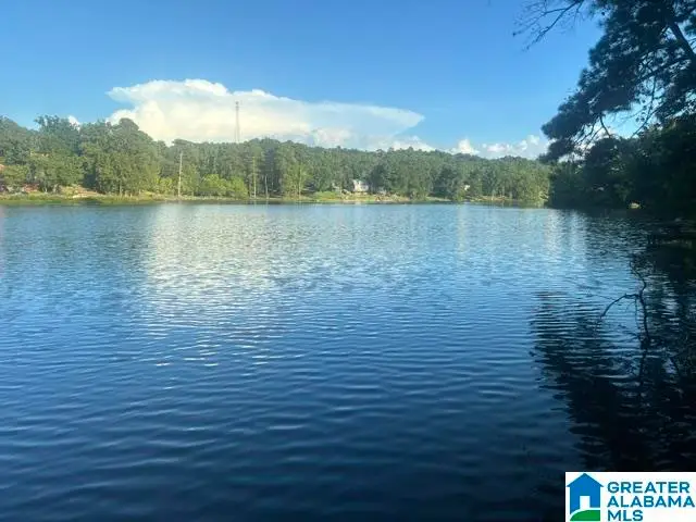 12882 BEL AIR CIRCLE, Lake View, AL 35111 - #2