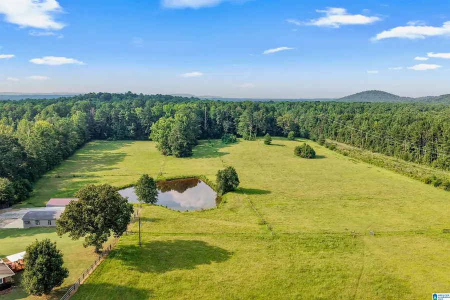 26129 HIGHWAY 25, Wilsonville, AL 35186 - #2