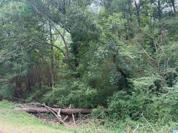 3500 WILBURN LAKE ROAD, Birmingham, AL 35214