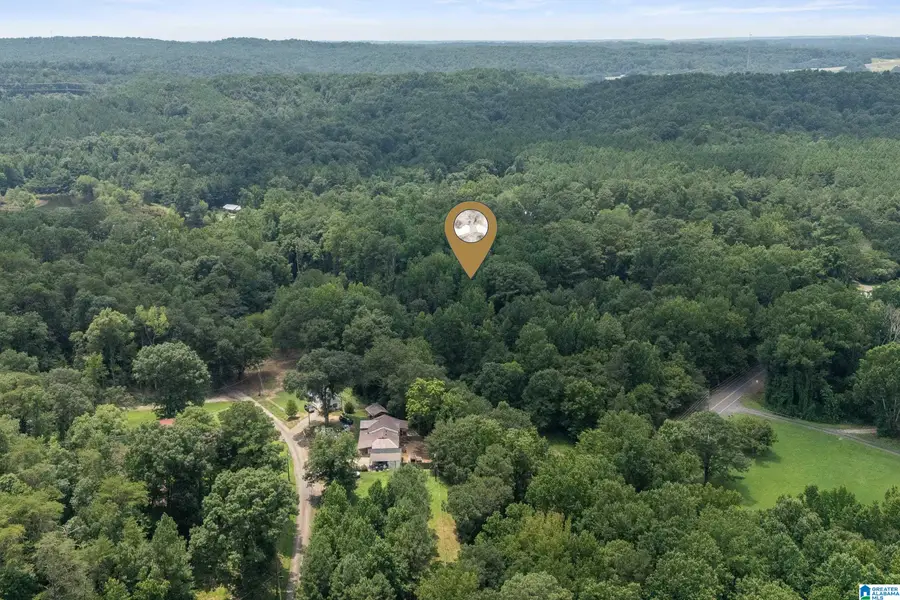3500 WILBURN LAKE ROAD, Birmingham, AL 35214 - #3