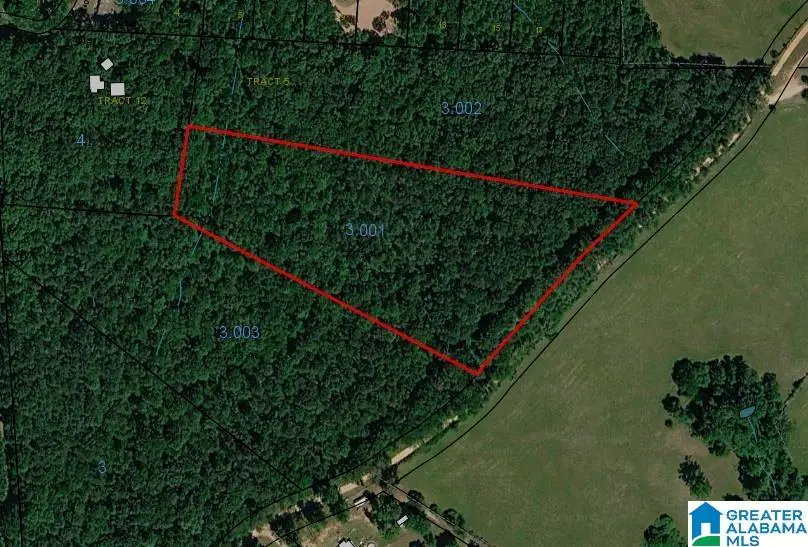 0 SHILOH CHURCH ROAD, Delta, AL 36258 - #2