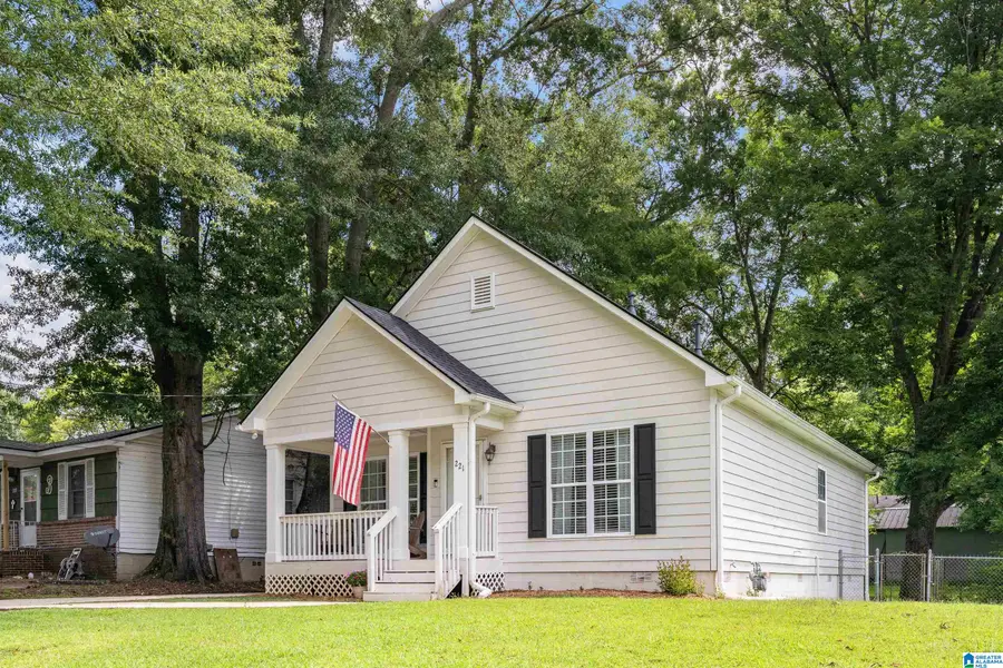 221 ALPINE STREET, Irondale, AL 35210 - #3