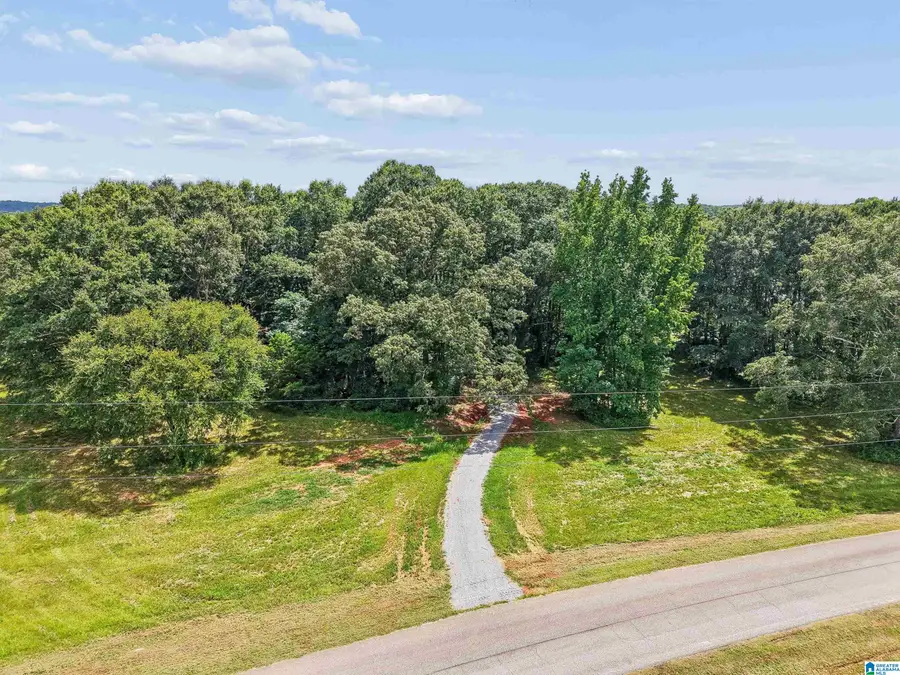 75 LOKEY DRIVE, Wilsonville, AL 35186 - #3
