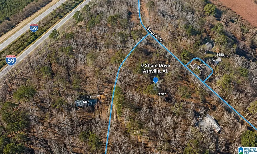 0 SHORE DRIVE, Ashville, AL 35953 - #3
