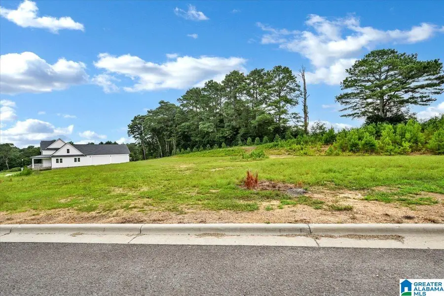 Lot 20 RIDGEWOOD DRIVE, Cullman, AL 35055 - #2