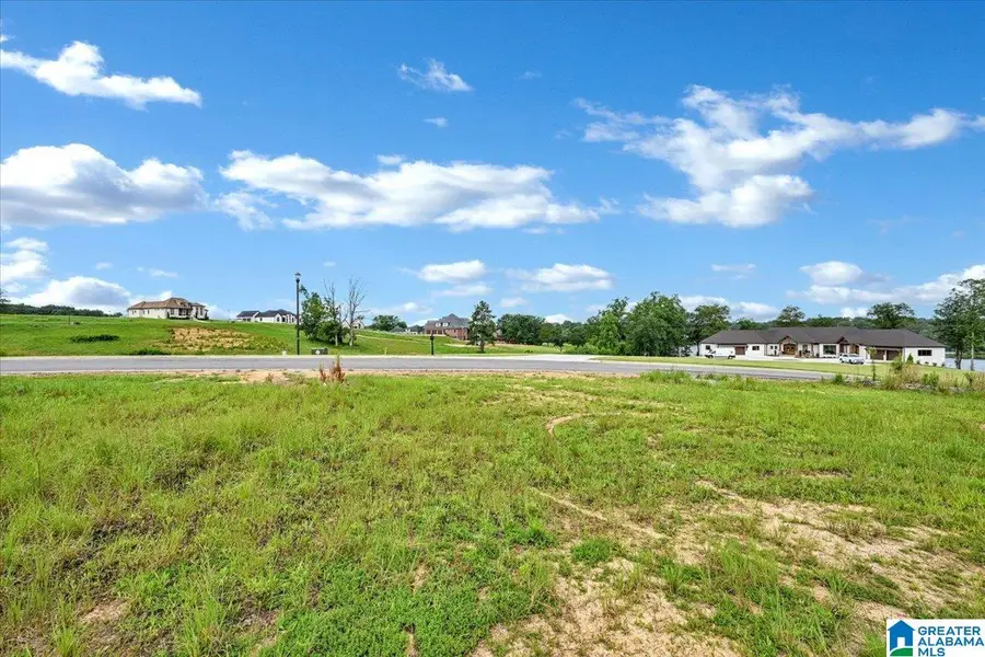 Lot 20 RIDGEWOOD DRIVE, Cullman, AL 35055 - #3