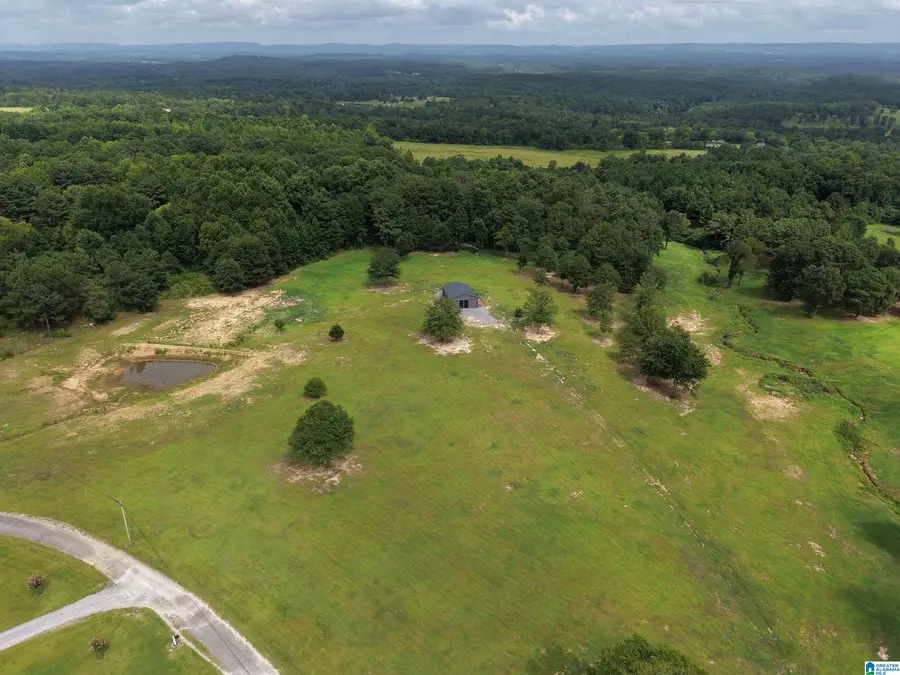 76 FAT ADAMS DRIVE, Hayden, AL 35079 - #3
