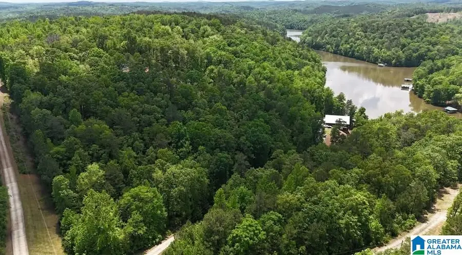 Lot 30 MANDY DRIVE, Wedowee, AL 36278 - #2