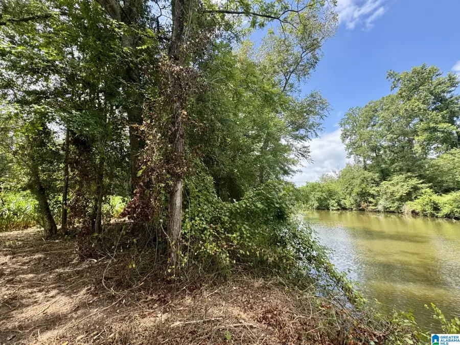CIRCLE DRIVE, Wedowee, AL 36278 - #3