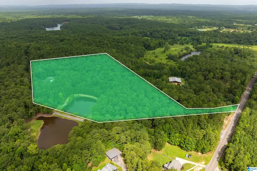 252 CHELSEA RIDGE LANE, Columbiana, AL 35051 - #2