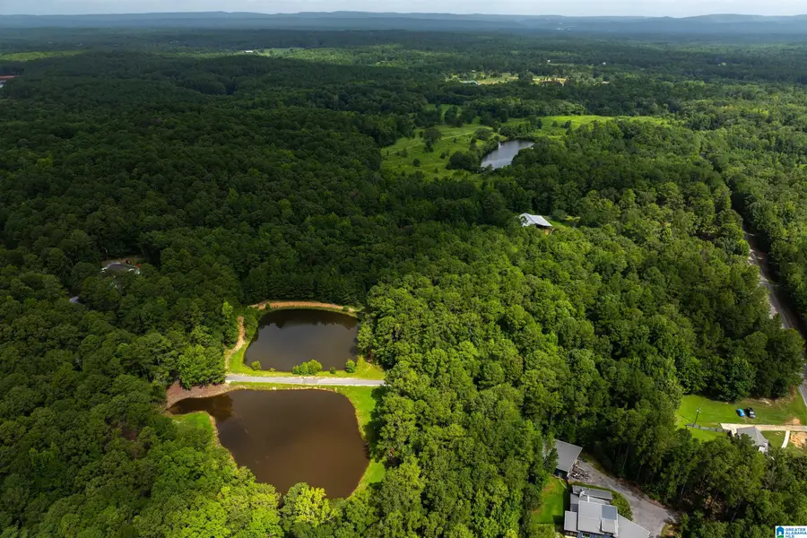 252 CHELSEA RIDGE LANE, Columbiana, AL 35051 - #3