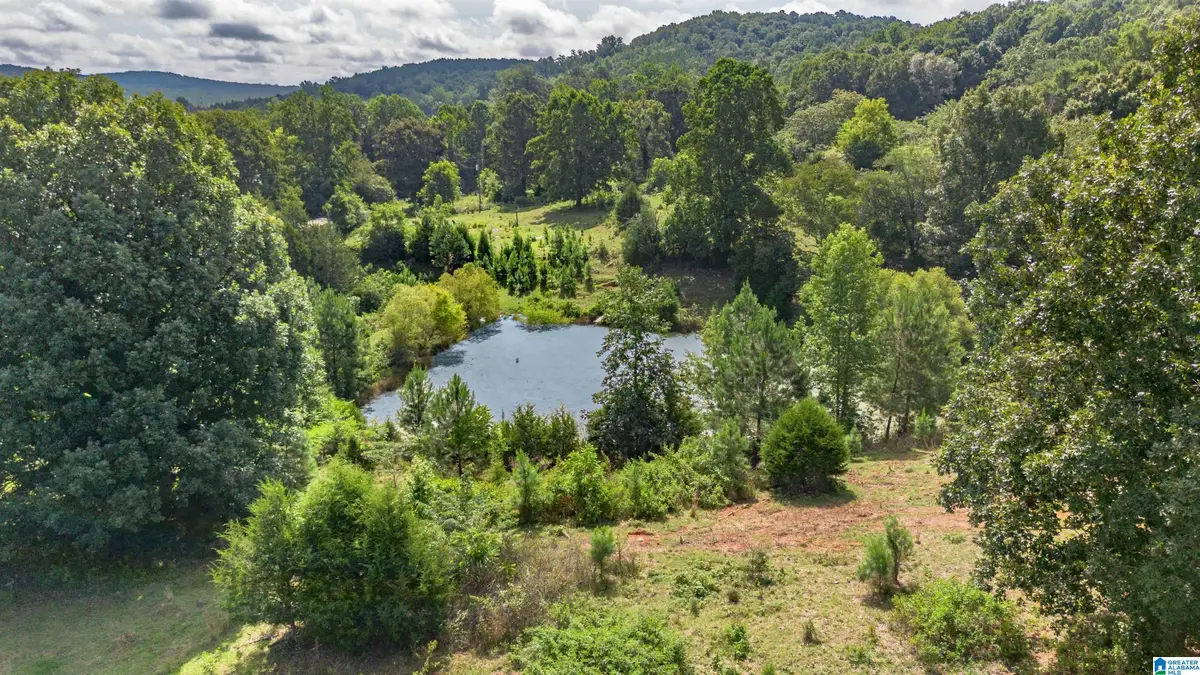 5967 COUNTY ROAD 19, Heflin, AL 36264 - #1