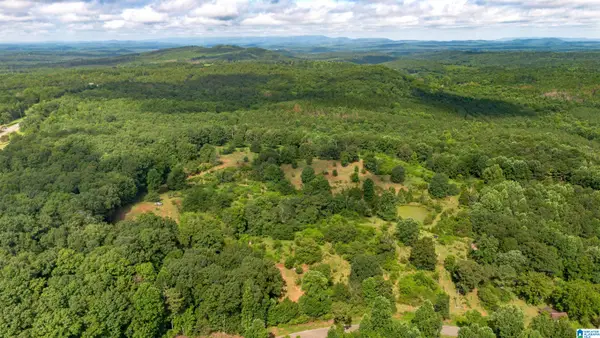 5967 COUNTY ROAD 19, Heflin, AL 36264