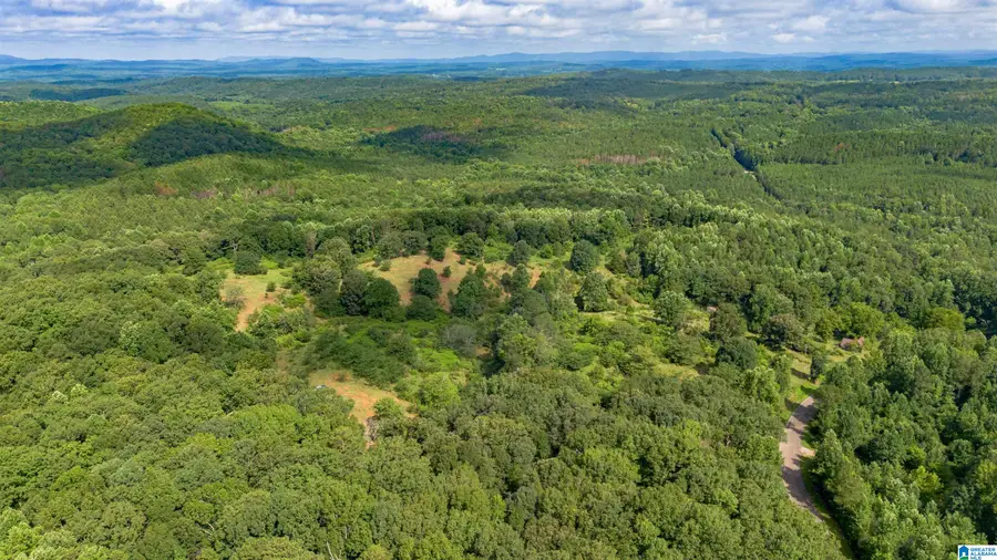 5967 COUNTY ROAD 19, Heflin, AL 36264 - #3