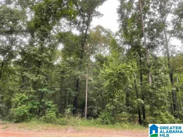 Lot 3 HIGHWAY 47, Columbiana, AL 35051
