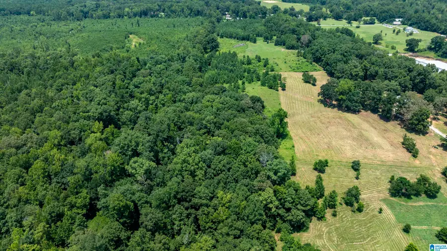 Lot 3 HIGHWAY 47, Columbiana, AL 35051 - #3