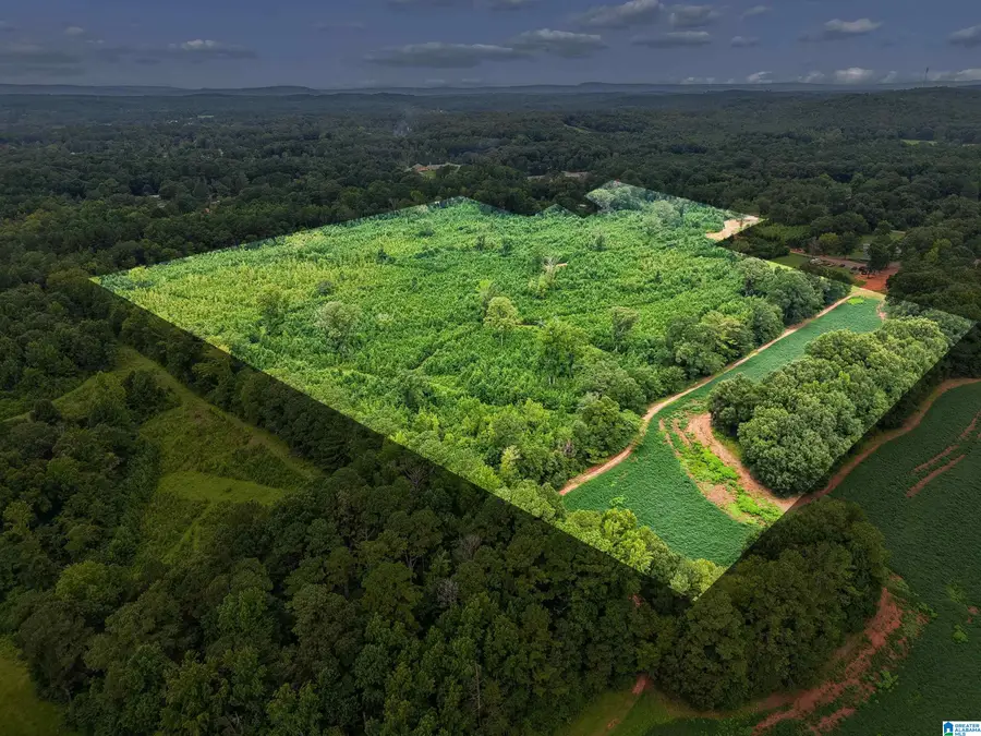 O HIGHWAY 60, Vincent, AL 35178 - #2