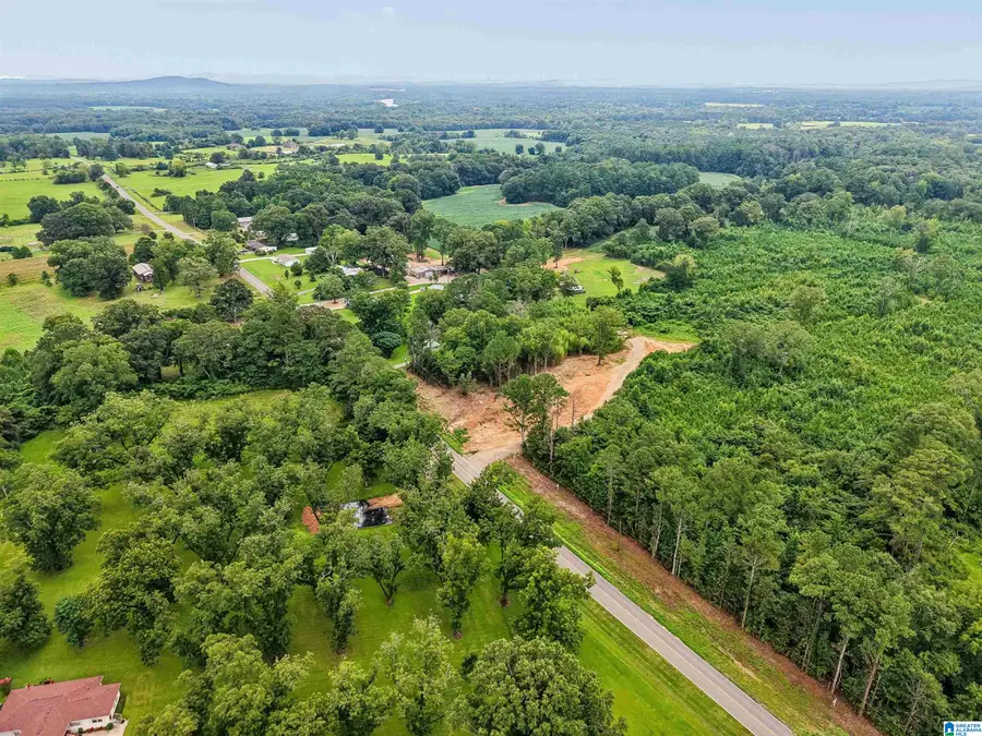 O HIGHWAY 60, Vincent, AL 35178 - #3