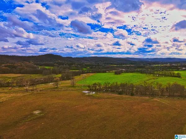 0 HINDS ROAD, Blountsville, AL 35031