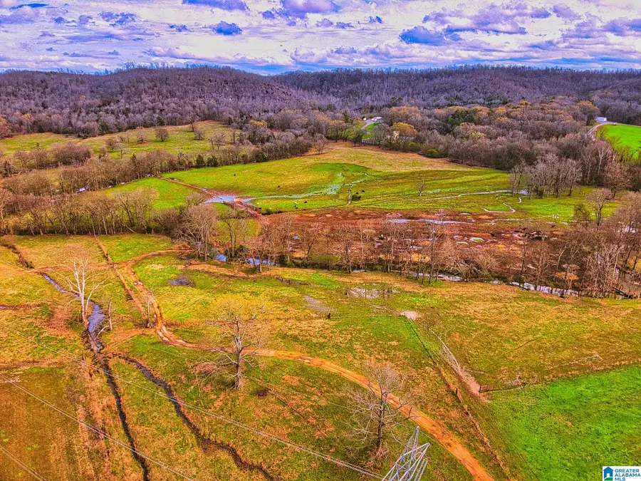 0 HINDS ROAD, Blountsville, AL 35031 - #2