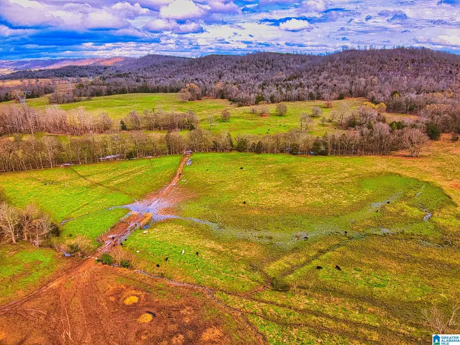 0 HINDS ROAD, Blountsville, AL 35031 - #3