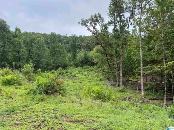 1072 ROYAL MILE, Birmingham, AL 35242