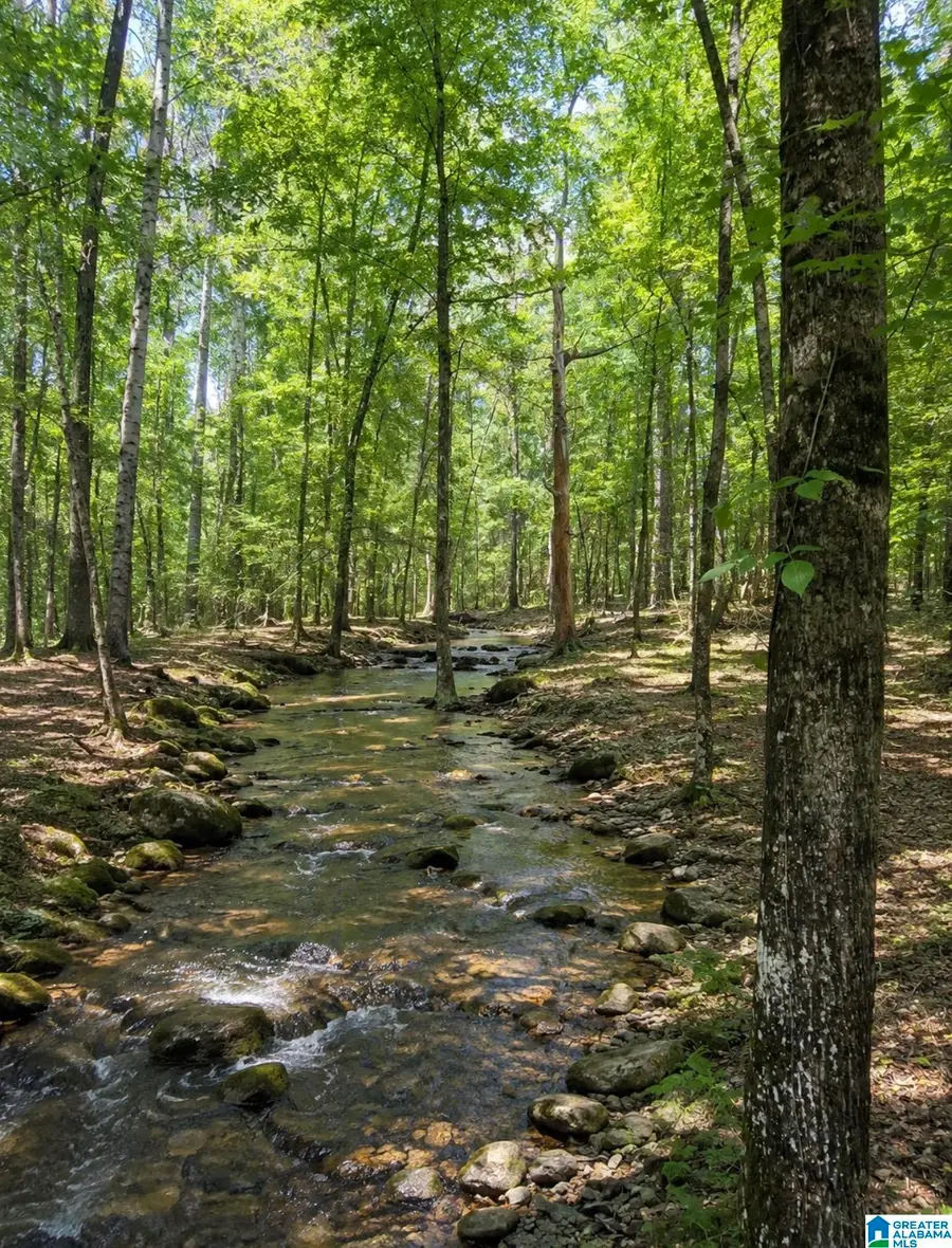 0 HIGHWAY 25, Leeds, AL 35094 - #2
