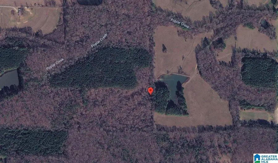 4635 AYCOCK BRIDGE ROAD, Leighton, AL 35646 - #2