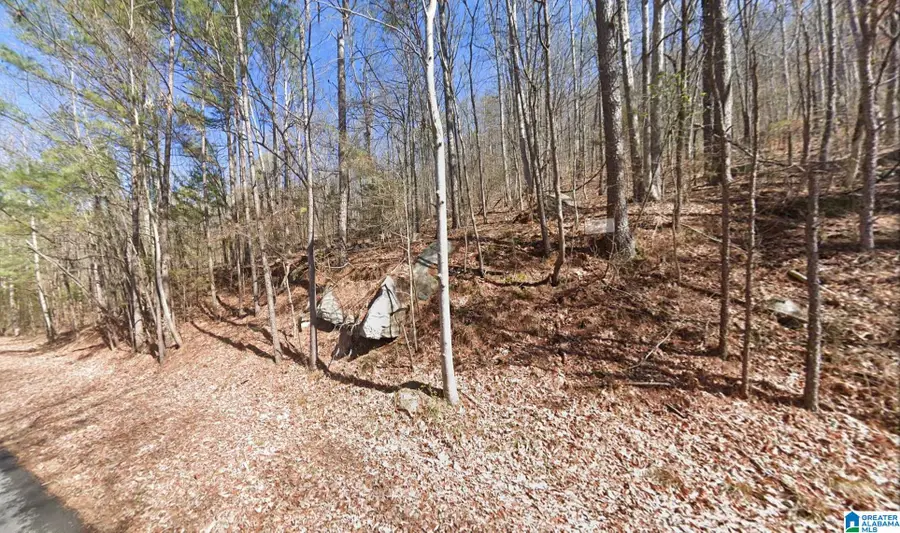2331 EAGLE RIDGE ROAD, Guntersville, AL 35976 - #2