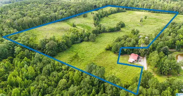756 BUCK DRIVE, Ohatchee, AL 36271