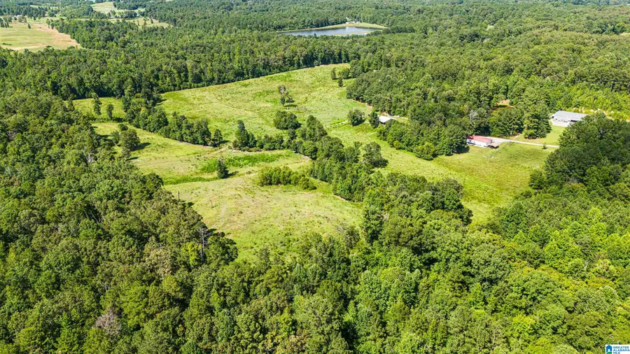 756 BUCK DRIVE, Ohatchee, AL 36271 - #2