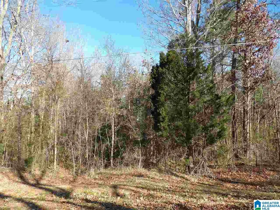 0 GARNER DRIVE, Piedmont, AL 36272 - #3