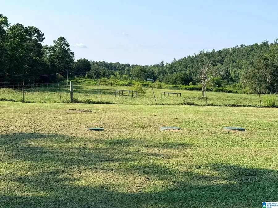636 WEBSTERS ROAD, Wellington, AL 36279 - #2