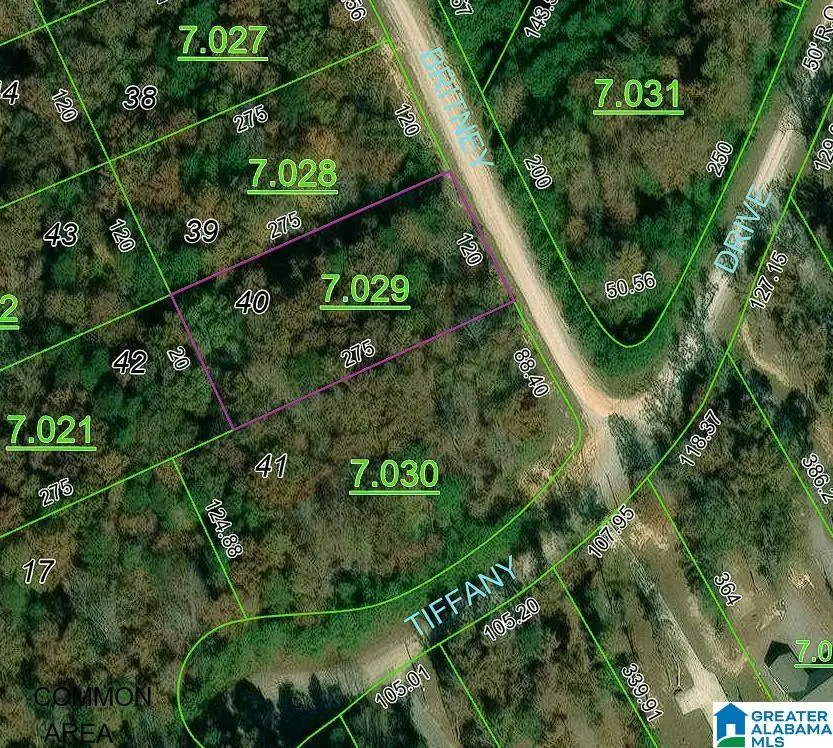 TBD BIG BEAR BRANCH CIRCLE, Double Springs, AL 35553 - #1
