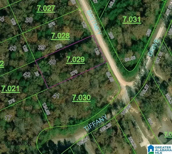 TBD BIG BEAR BRANCH CIRCLE, Double springs, AL 35553