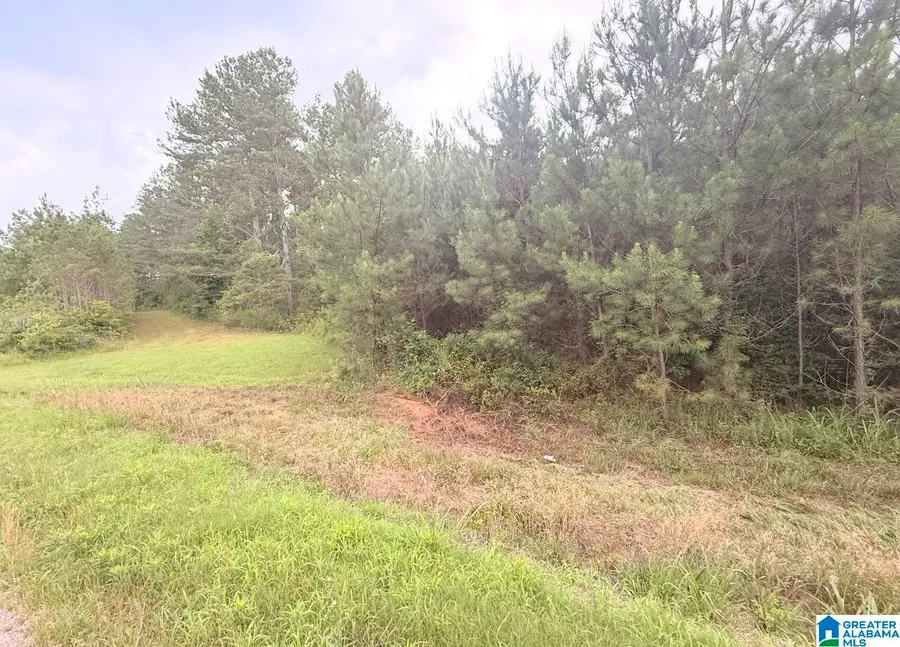 0 COUNTY ROAD 40, Fruithurst, AL 36262 - #3