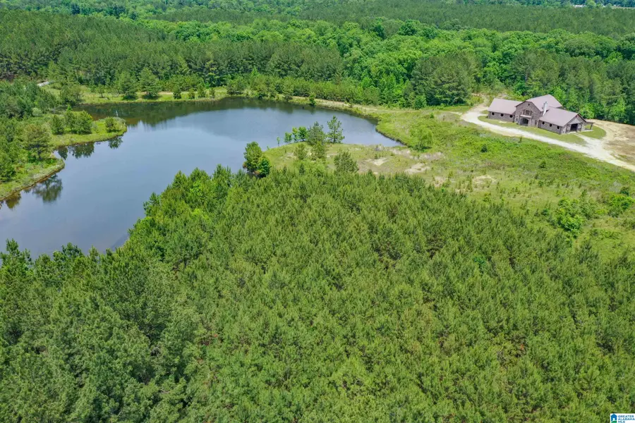 861 SHIRE VALLEY FARMS, Columbiana, AL 35051 - #2