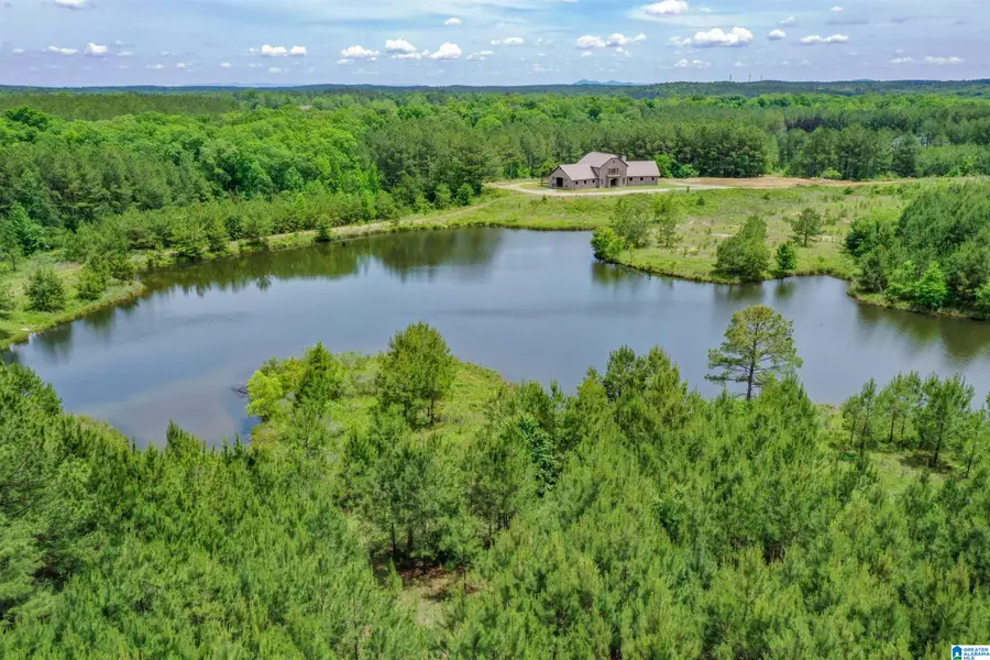 861 SHIRE VALLEY FARMS, Columbiana, AL 35051 - #3