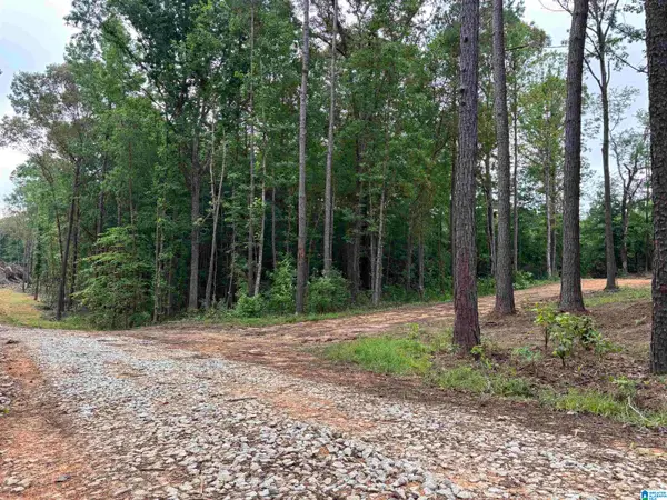 Tract 1 343 COUNTY ROAD 892, Wedowee, AL 36278