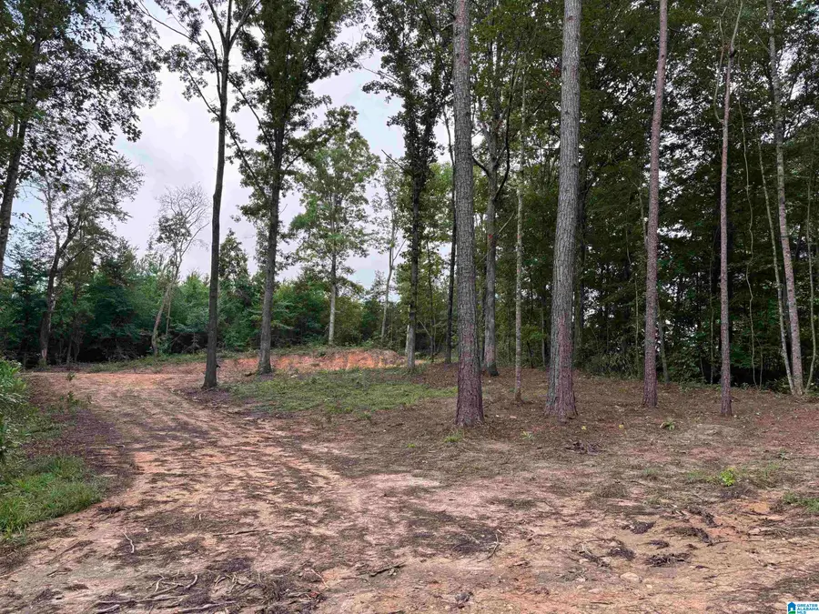 Tract 1 343 COUNTY ROAD 892, Wedowee, AL 36278 - #2