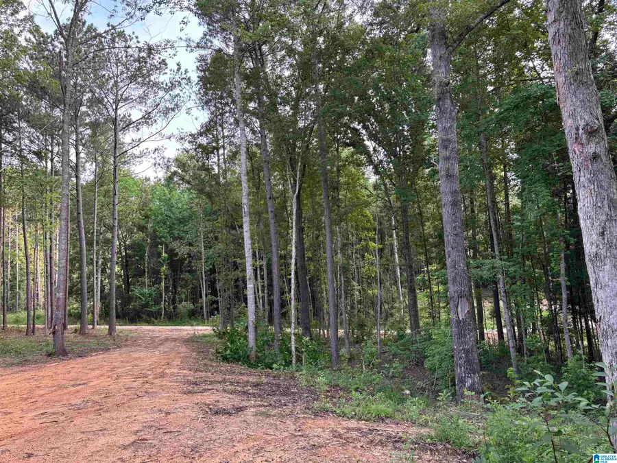Tract 1 343 COUNTY ROAD 892, Wedowee, AL 36278 - #3