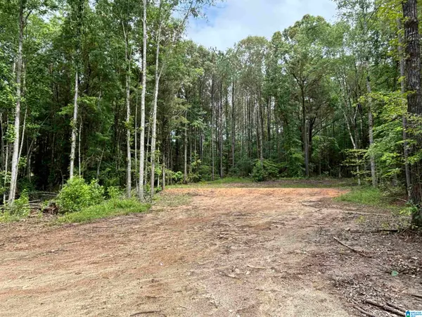 Tract 2 343 COUNTY ROAD 892, Wedowee, AL 36278