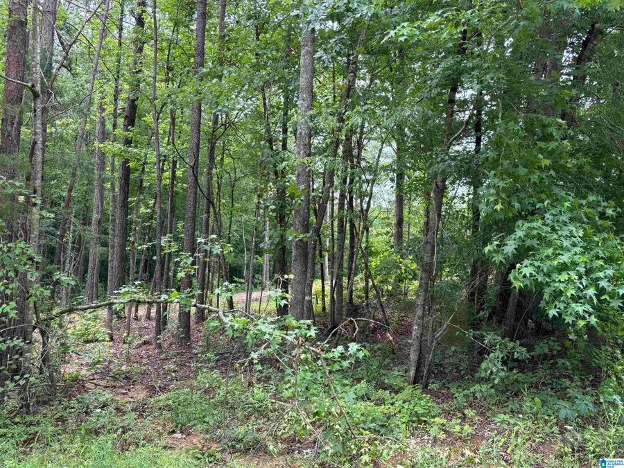 Tract 2 343 COUNTY ROAD 892, Wedowee, AL 36278 - #2